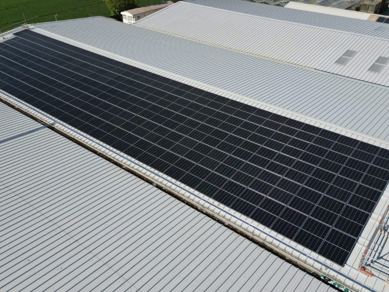 Solar - Windy Ridge veg 4
